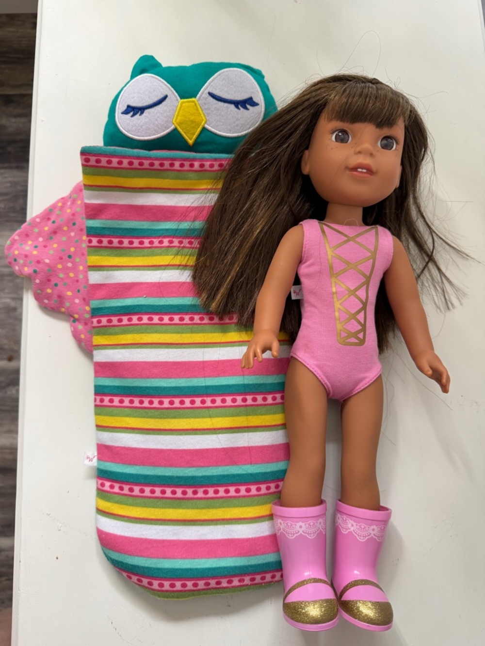 American Girl Wellie Wisher Ashlyn 14" and night owl sleeping bag